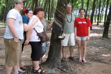 Private Half-Day Cu Chi Tunnels Tour from Ho Chi Minh City