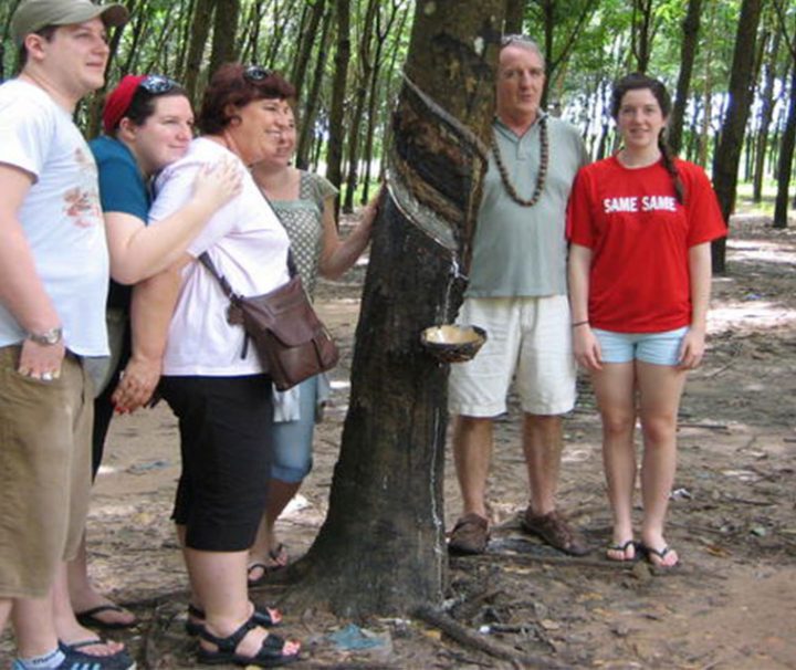 Private Half-Day Cu Chi Tunnels Tour from Ho Chi Minh City