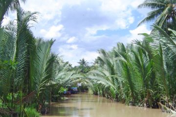 RTV30: Southern Vietnam Basic
