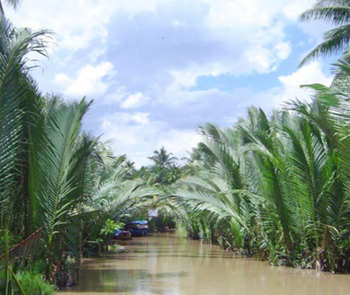 RTV30: Southern Vietnam Basic